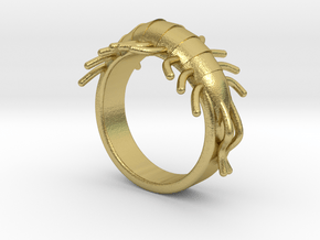 Millipede Ring 17mm in Natural Brass