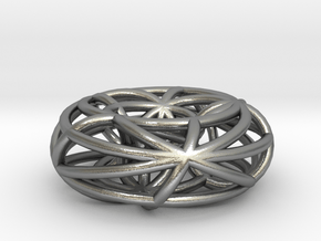 toroidal geodesics small in Natural Silver