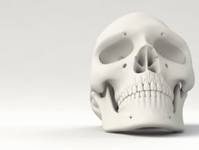 Realistic Human Skull (40mm H) in White Processed Versatile Plastic