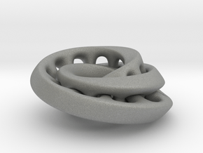 Nested mobius strip in Gray PA12