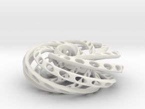 Nested Mobius strips inside torus in White Natural Versatile Plastic