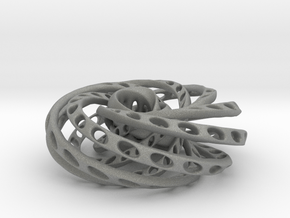 Nested Mobius strips inside torus in Gray PA12