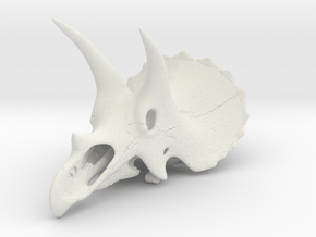 Triceratops skull - dinosaur model in White Natural Versatile Plastic: 1:24