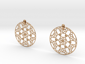 LSS Earrings in Polished Bronze