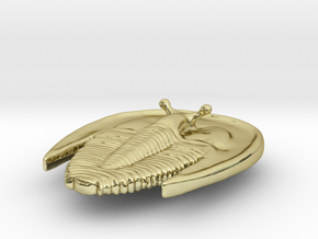 Haeckel Trilobite in 18k Gold Plated Brass