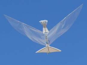 Motor pteranodon parts in White Processed Versatile Plastic