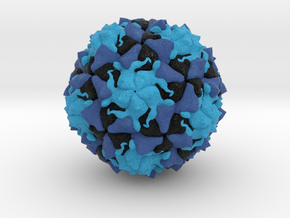 Polio Virus in Full Color Sandstone