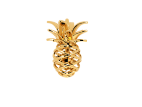 Pineapple Turtle Pendant in Polished Brass