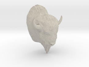 Buffalo in Natural Sandstone