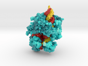 CRISPR-Cas13a in Complex with Guide and Target RNA in Glossy Full Color Sandstone: Extra Small