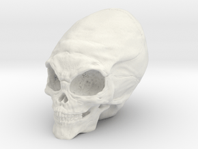 Alien Skull in White Natural Versatile Plastic