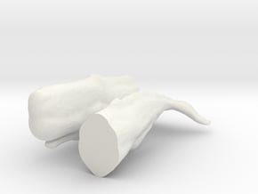 O Scale Sperm Whale in White Natural Versatile Plastic