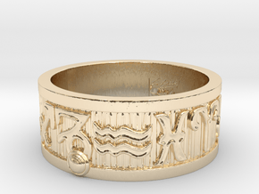 Zodiac Sign Ring Capricorn / 21.5mm in 14k Gold Plated Brass