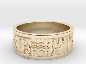 Zodiac Sign Ring Capricorn / 23mm in 14k Gold Plated Brass