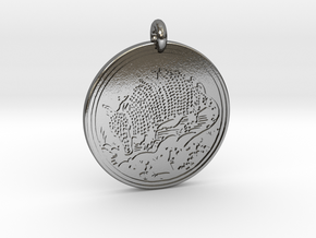 Armadillo  Animal Totem Pendant in Polished Silver