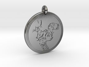 Abert's Squirrel Animal Totem Pendant in Polished Silver