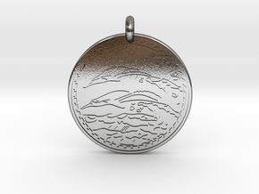 Dolphin Animal Totem Pendant in Polished Silver
