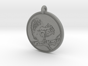 Tree squirrel Animal Totem Pendant in Gray PA12