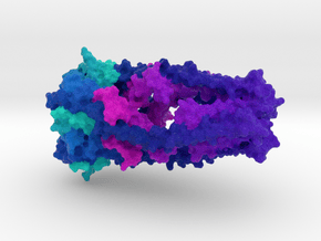 Mitochondrial Calcium Uniporter in Natural Full Color Sandstone