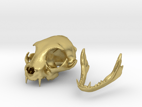 Mini Cat Skull Sculpture in Natural Brass