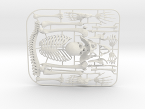 Human Skeleton Kit_v01 in White Natural Versatile Plastic
