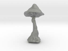 Mushroom in Gray PA12
