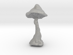Mushroom in Aluminum