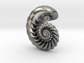 Nautilus Pendant in Natural Silver: Small