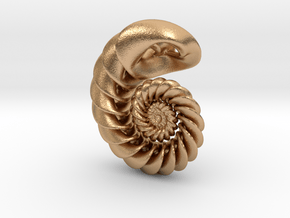 Nautilus Pendant in Natural Bronze: Small