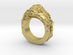 Bigfoot Ring in Natural Brass: 6.5 / 52.75