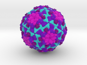Sacbrood Virus in Natural Full Color Sandstone