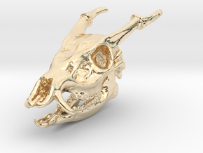 Muntjac Skull Solid Miniature in 14k Gold Plated Brass