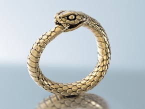 Ouroboros Snake Ring in 18k Gold Plated Brass: 7 / 54