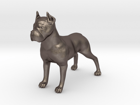 Dog in Polished Bronzed-Silver Steel