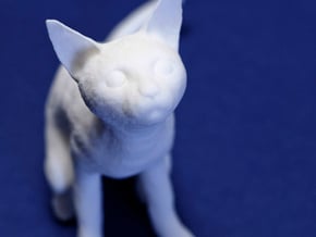 Cat in White Natural Versatile Plastic