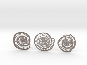 Foraminifera Coasters in Polished Bronzed-Silver Steel