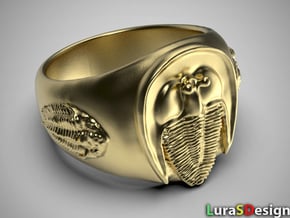 Trilobite Fossil Ring in Polished Bronzed-Silver Steel
