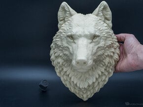 Proud Wolf Wall Mount in White Natural Versatile Plastic: Large