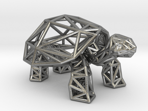 Galapagos Giant Tortoise in Natural Silver
