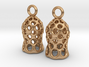 Tintinnid Dictyocysta Mitra Earrings in Natural Bronze