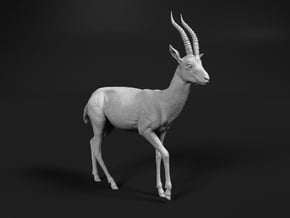 Thomson's Gazelle 1:6 Walking Male in White Natural Versatile Plastic