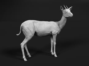 Thomson's Gazelle 1:16 Standing Female in White Natural Versatile Plastic
