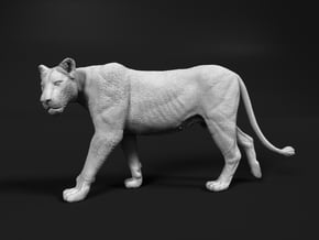 Lion 1:15 Walking Lioness 2 in White Natural Versatile Plastic