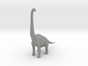 Brachiosaurus in Gray PA12