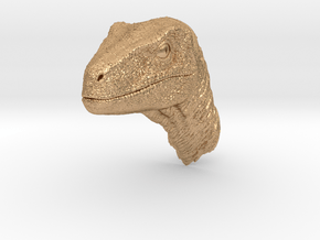 raptorkopfclosedmouth in Natural Bronze