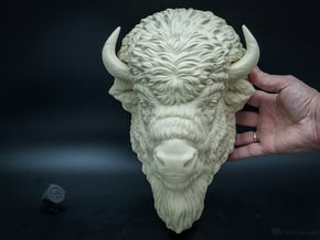 American Bison head. Wall-mounted sculpture in White Natural Versatile Plastic: Large