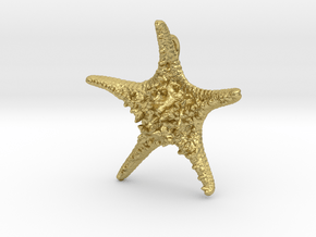 Knobby Starfish Pendant (Small, Solid) in Natural Brass