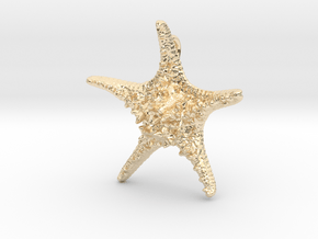 Knobby Starfish Pendant (Small, Solid) in 14k Gold Plated Brass