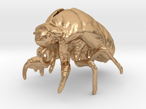 Cicada Nymph Molt Pendant in Natural Bronze