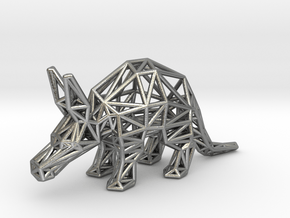 Aardvark (Young) in Natural Silver